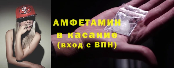 индика Волосово